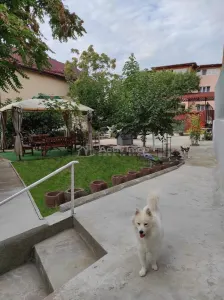 Vila Dristor- Ramnicu Sarat - foto 3