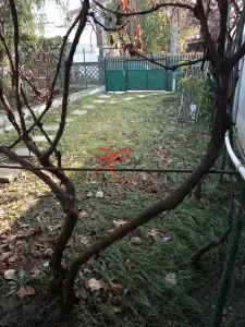 Vanzare teren cu casuta Andronache - foto 6