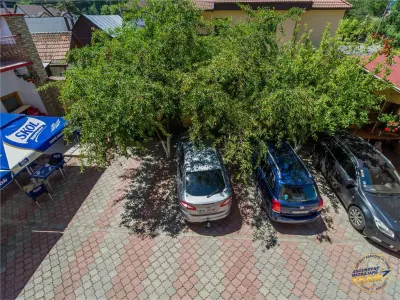 Pensiune cu restaurant, profit asigurat din chirii, terasa spre munte, Brasov - foto 11