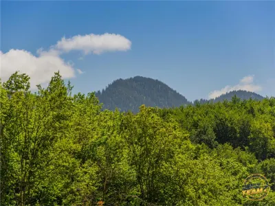 Pensiune cu restaurant, profit asigurat din chirii, terasa spre munte, Brasov - foto 17