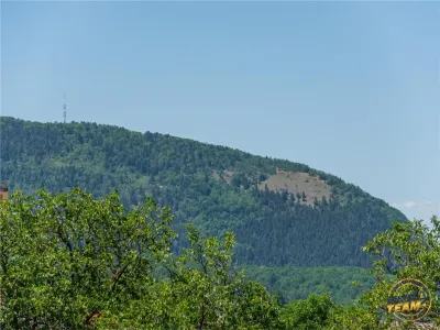 Pensiune cu restaurant, profit asigurat din chirii, terasa spre munte, Brasov - foto 22