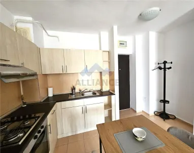 Apartament cu 2 camere, liber, ansamblu rezidential, Tatarasi - foto 5